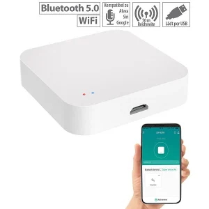 VisorTech Elesion ZigBee Gateway:Motorbetriebener ZigBee-Schließzylinder Mit WLAN-Gateway Und App, IP55 32